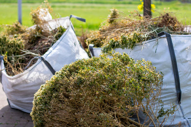 Best Same-Day Junk Removal  in Newport East, RI